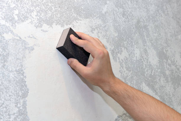 Best Forensic Mold Investigation  in Sallisaw, OK