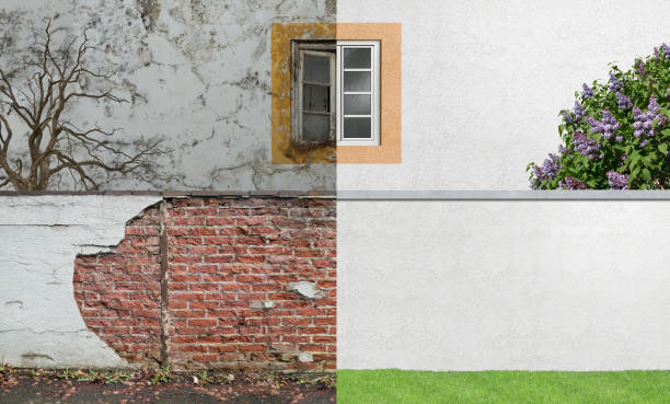 Best Environmental Consulting for Mold Prevention  in Sallisaw, OK