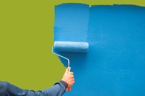 Trusted Sallisaw, OK Mold Removal Experts